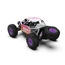 Rlaarlo 1/12 RTR Brushless RC Desert Truck , Max 45MPH Fast RC Cars - PURPLE